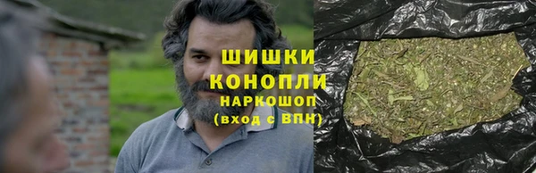 прущие грибы Абдулино